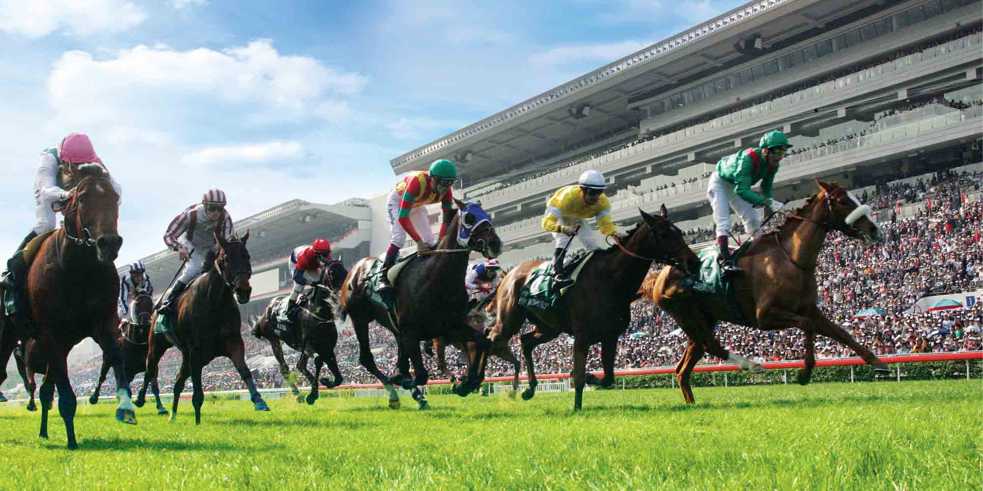 The V Smart Living Blog: Happy Valley Horse Racing in Hong Kong