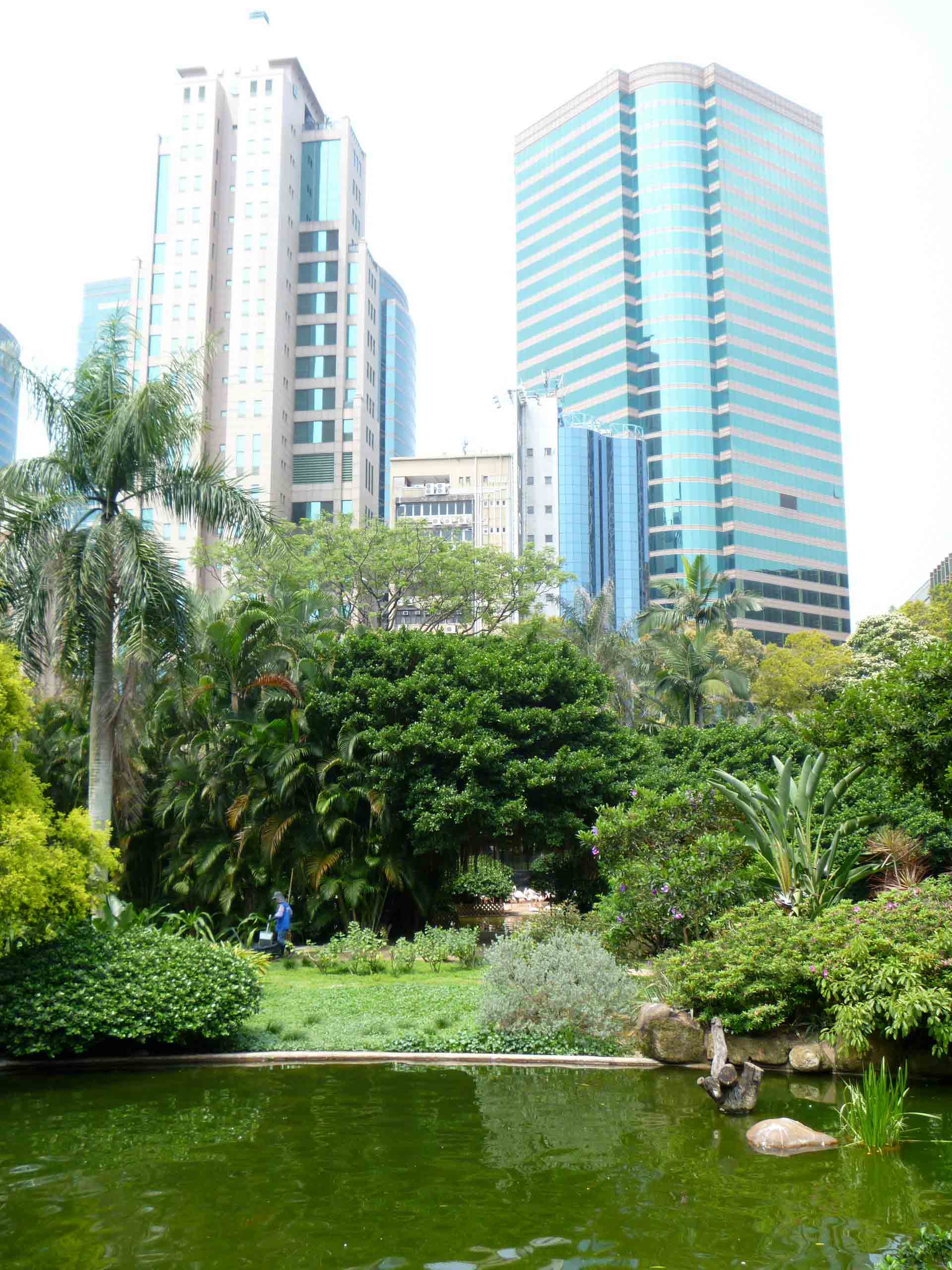 香港岛最受欢迎的公园